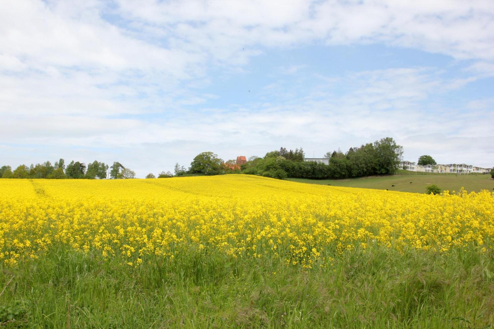 Mit Meerblick Und Balkon, Gratis Nutzung Vom Ahoi Erlebnisbad Und Sauna In Sellin - Meeresblick Fewo 14 Goehren  Exterior photo